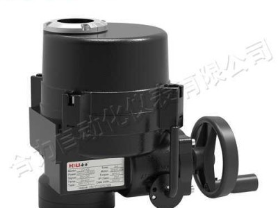 锂电防水型电动执行器的应用与优势