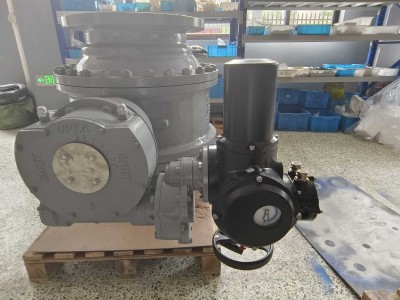 帮我写一篇关于锂电电动将军阀的700个字中文原创的文章，并在文章前面配上一个标题，标题前面加上“标题”两字