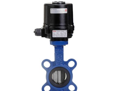 帮我写一篇关于电动蝶阀oem生产厂家的700个字中文原创的文章，并突出合力自动化，并在文章前面配上一个标题，标题前面加上“标题”两字