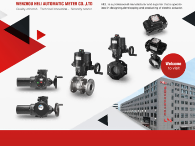 上装式电动偏心半球阀：合力自动化的创新之作