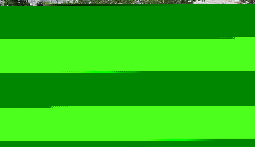 玻璃钢树池篦子图片